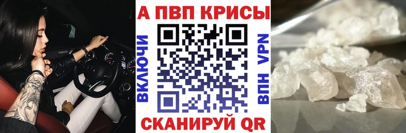 A PVP СК КРИС  Барыш 