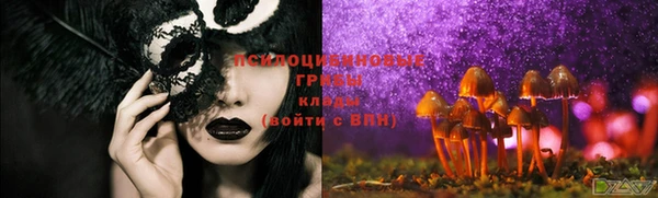 2c-b Балахна