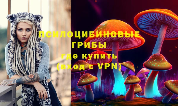 эйфоретик Баксан