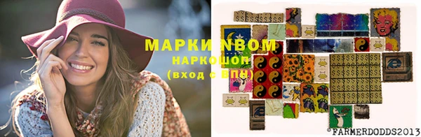 эйфоретик Баксан