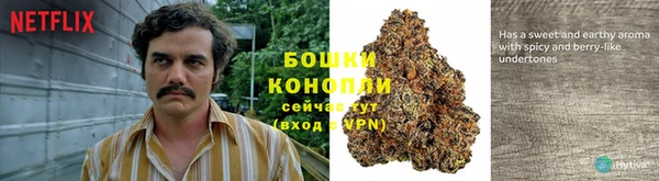 эйфоретик Баксан