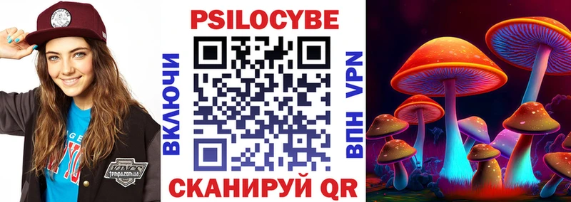 kraken как зайти  дарнет шоп  Барыш  Псилоцибиновые грибы Magic Shrooms 